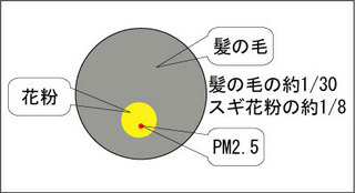 Pm2 5 心臓発作で死亡するかも そのマスクで大丈夫 衣 食 住